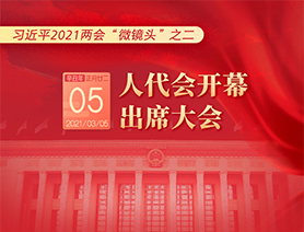 习近平2021两会“微镜头”之二：3月5日 人代会开幕，出席大会