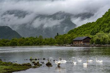 醉美神农架大九湖